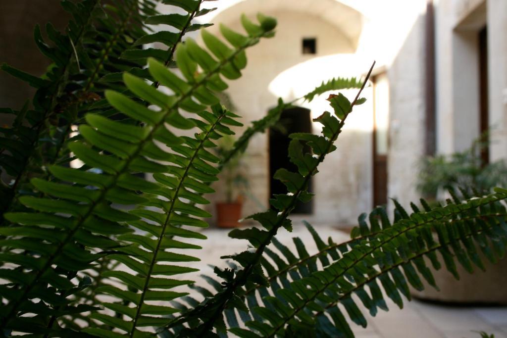 Bed and Breakfast Dimora Storica "Casa Sicuro" Martano Exterior foto